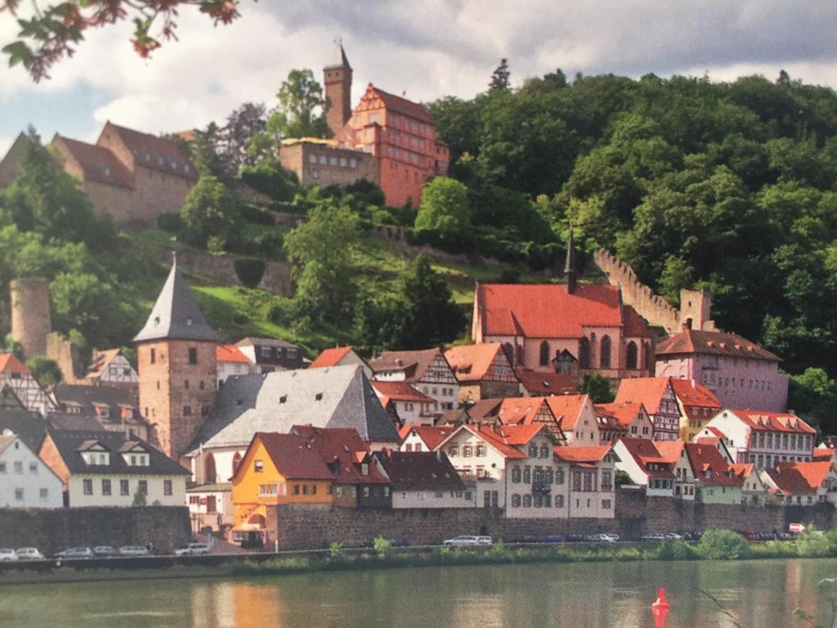 Neckarblick,Natur, Altstadt Hirschhorn Exterior foto