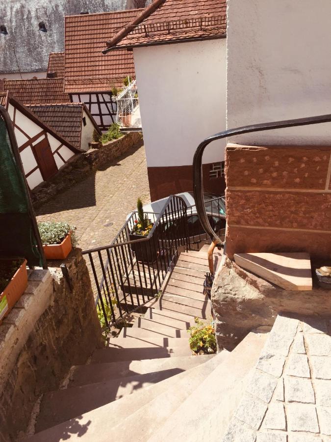 Neckarblick,Natur, Altstadt Hirschhorn Exterior foto