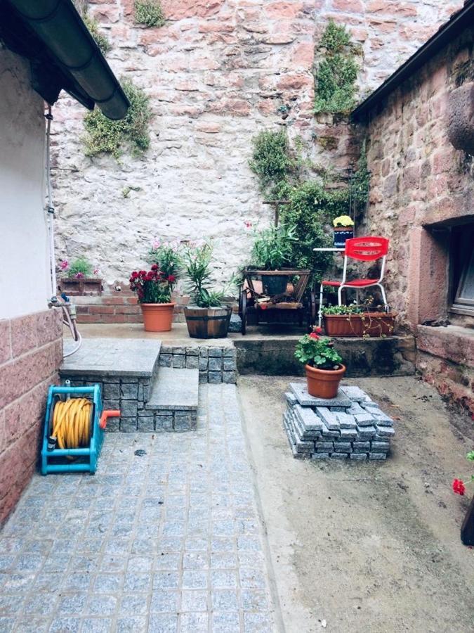Neckarblick,Natur, Altstadt Hirschhorn Exterior foto