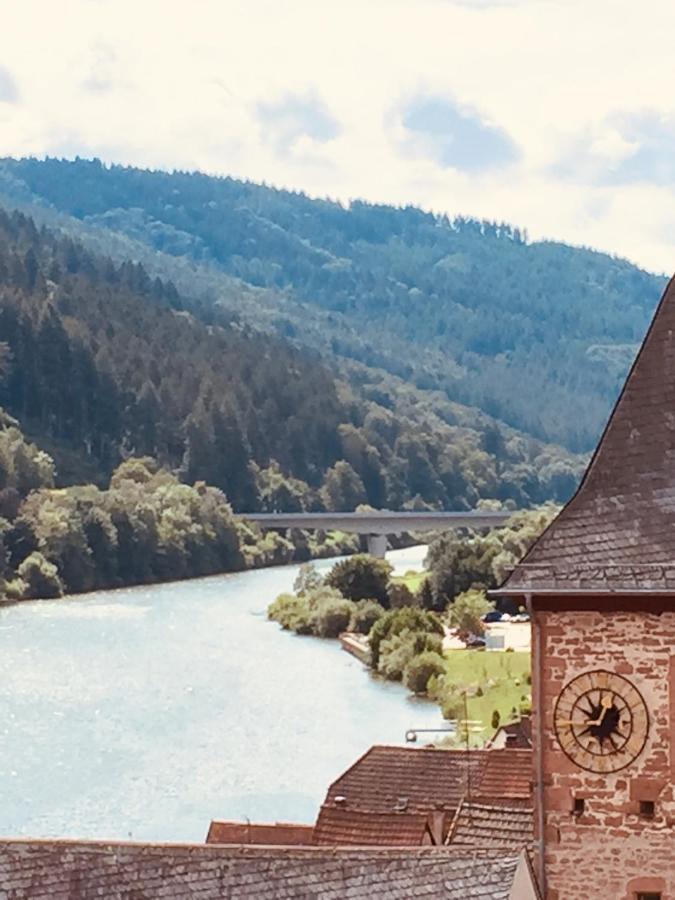 Neckarblick,Natur, Altstadt Hirschhorn Exterior foto