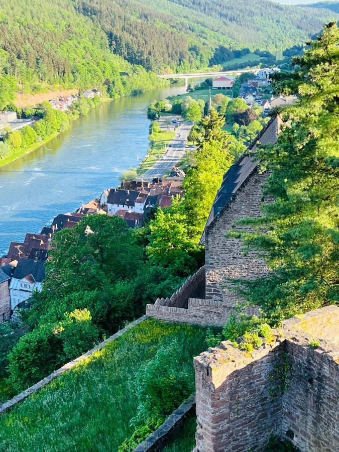Neckarblick,Natur, Altstadt Hirschhorn Exterior foto