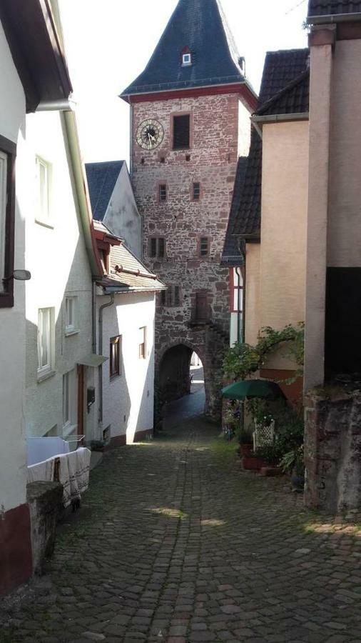 Neckarblick,Natur, Altstadt Hirschhorn Exterior foto