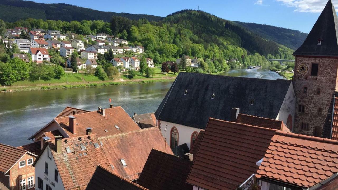 Neckarblick,Natur, Altstadt Hirschhorn Exterior foto