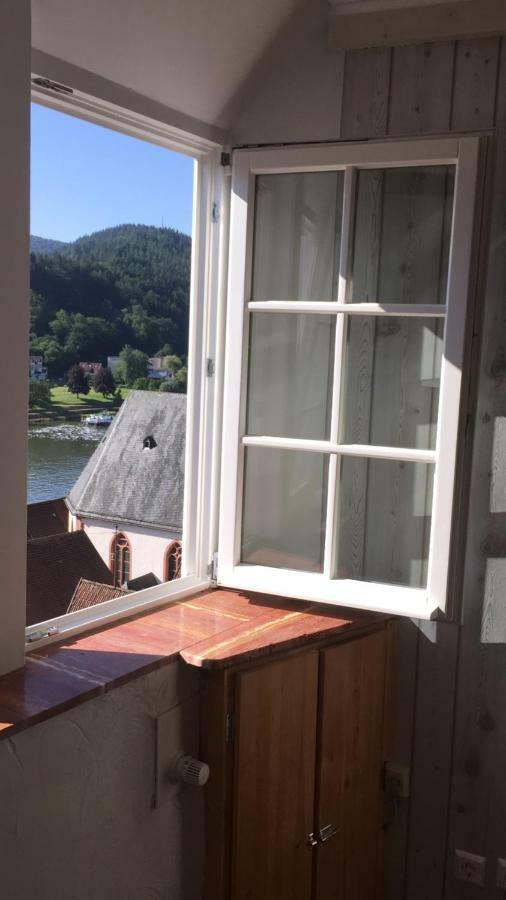 Neckarblick,Natur, Altstadt Hirschhorn Exterior foto